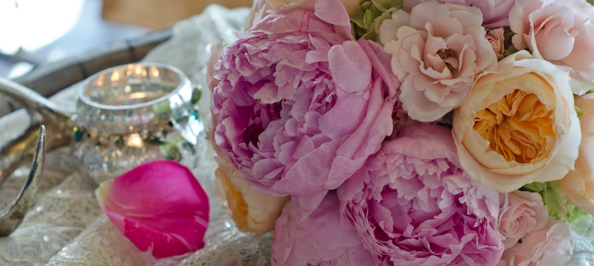 Hear from the customers of Loveland & Fort Collins’ favorite local florist.